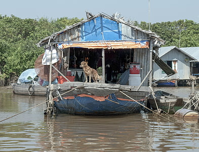 Shack, hytte, kabine, fattigdom, Cambodja, Tonle sap lake, Asien