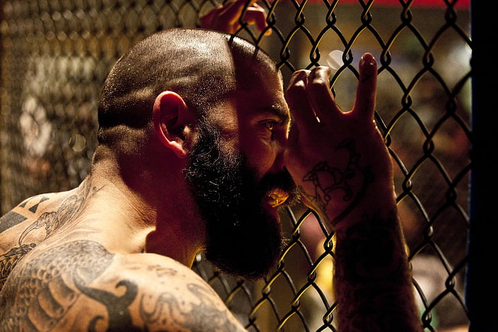 mma, network, cage, tattoos, beard, people, person