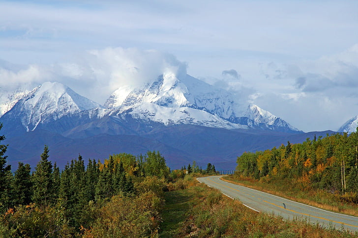 Alaska, bezdroża, góry, śnieg, drzewa, lasu, chmury