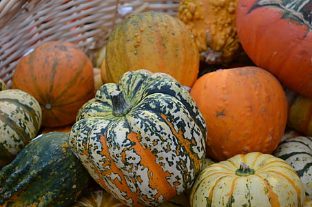 pumpkin, hokkaido, gourd, october, november, december, september