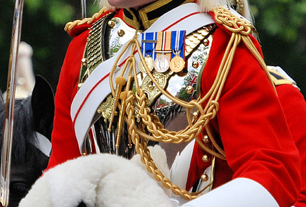 prajurit, rumah tangga, kavaleri, dipasang, payudara piring, refleksi, Inggris