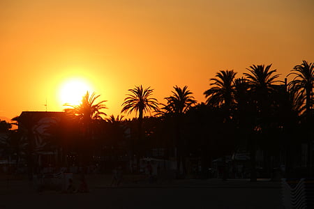 slunce, Já?, pláž, Západ slunce, Palmové stromy, Palma, dovolená