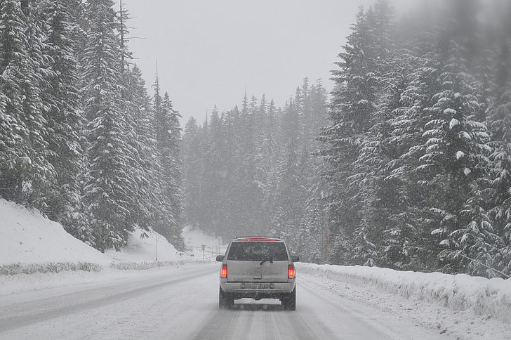 carretera, coche, Automático, invierno, nevados, paisaje, hay niebla