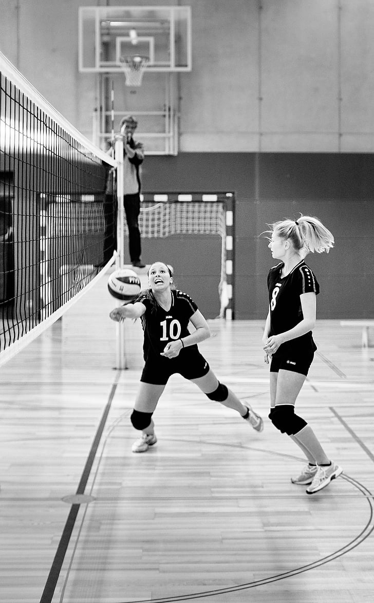 volleyball, sport, ball, play, competition, young, playing field