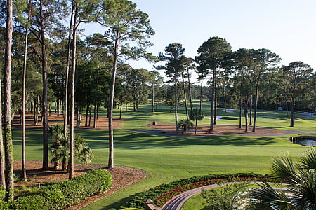 campo da golf, Carolina del sud, Fairway, verde, Golf, corso, Sud