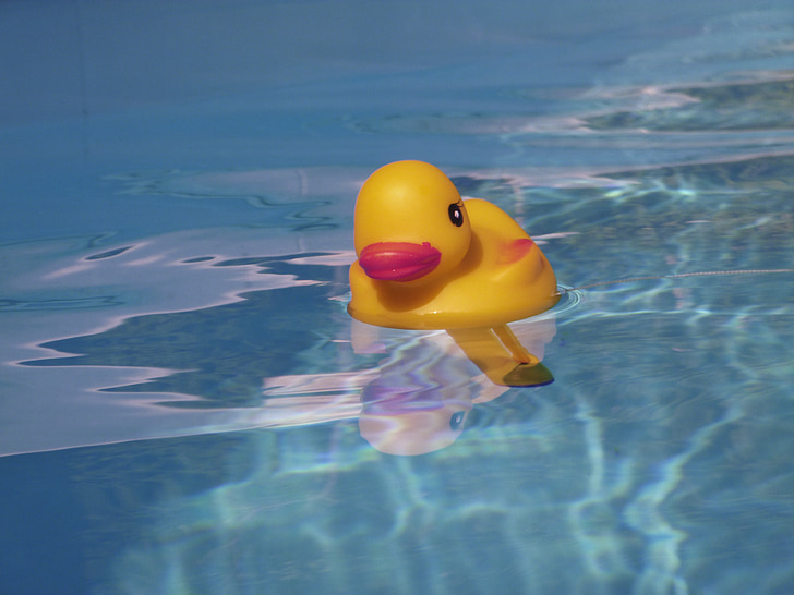 quietschentchen, басейн, лято, плуване, вода, празник, баня патица