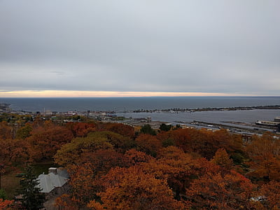 Duluth, Minnesota, őszi, ősz, fák, természet, levelek