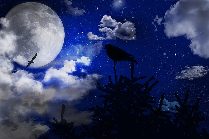 sky, blue, clouds, moon, night, star, birds