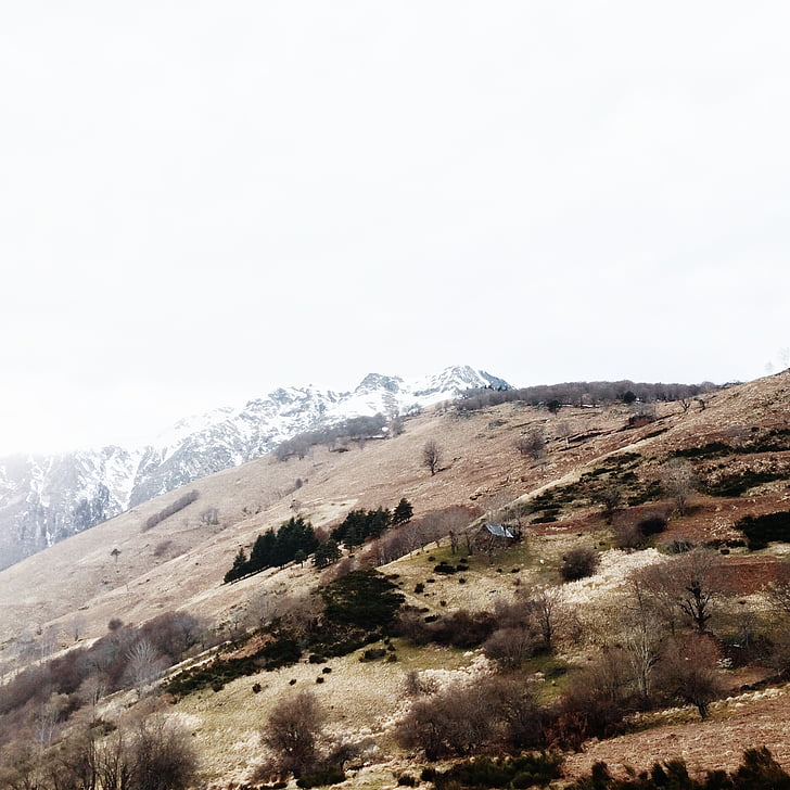 manzara, ağaçlar, dağ, kar, ağaç, Snow hill, Tepe Dağ