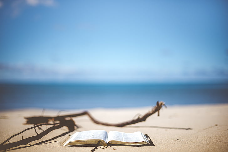 ชายหาด, เบลอ, ไม่ชัด, หนังสือ, หน้าหนังสือ, อย่างใกล้ชิด, ชายฝั่ง