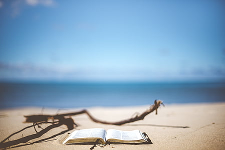 pludmale, aizmiglot, neskaidra, grāmatas, grāmatas lappuses, tuvplāns, krasts