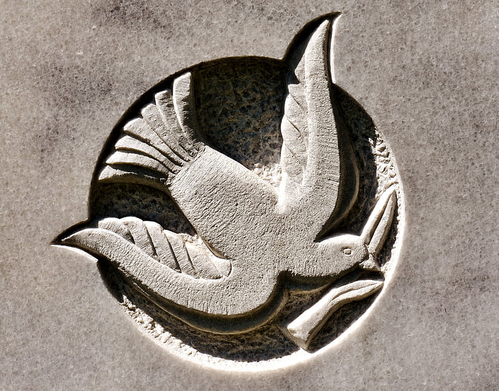 dove, bird, stone, abstract, art, close-up, no people