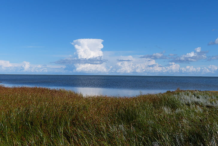 nimbus Cumulus, nubes, cielo, forma de las nubes, agua, mar, Mar Báltico