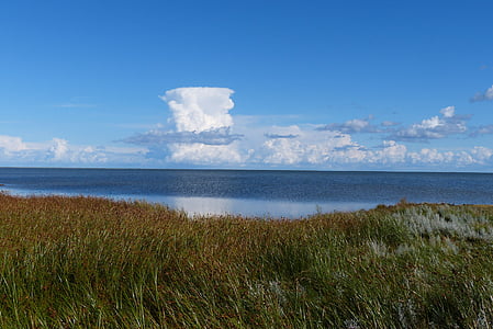 cumulus nimbus, clouds, sky, clouds form, water, sea, baltic sea