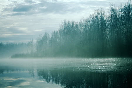 frosty, foggy, misty, river, winter, cold, frost