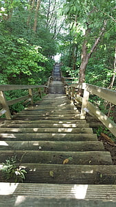 stairs, steep, down, trees, nature, footpath, tree