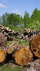Log, cutoffs træ, træindustri, fældede træ, savet træ, træstamme