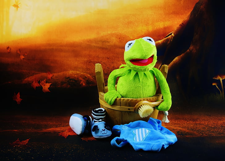 Kermit, plávať, kefa, zlý deň, smiešny, plyš, zábava