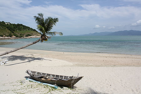 caribbean, sea, hammock