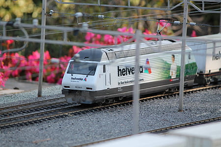 modell, tåg, Swissminiatur, Melide, Schweiz, järnvägsspår, transport