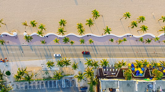bird's eye view, buildings, cars, palm trees, road, sand, trees