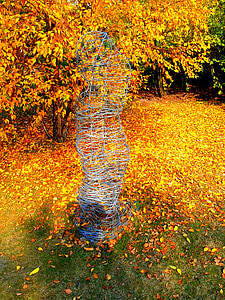 autunno, lista gialla, natura, autunno d'oro, Parco, la diminuzione della, arancio