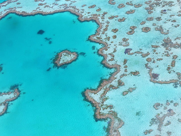 hjertet reef, Australien, Great barrier reef, baggrunde, blå, tekstureret