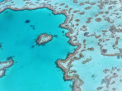 hjärtat reef, Australien, Stora barriärrevet, bakgrunder, blå, texturerade