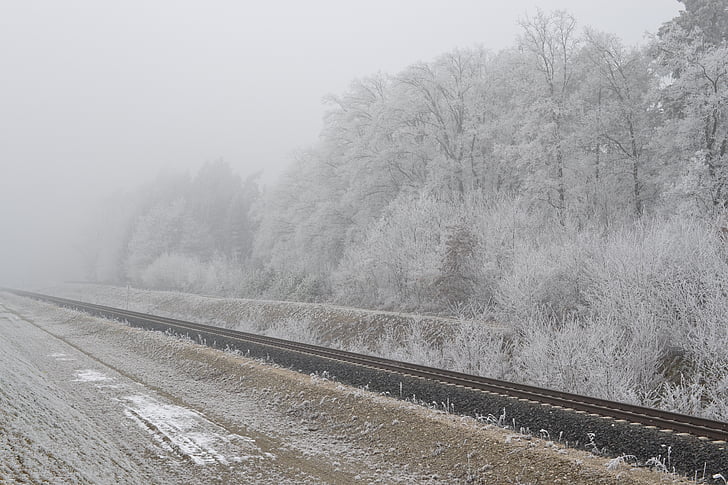 chemin de fer, train, voie ferrée, brouillard, gelée blanche, automne, froide