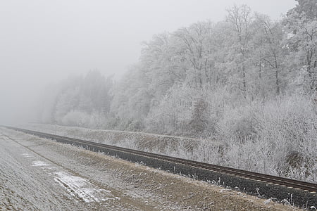 Eisenbahn, Zug, Bahngleis, Nebel, Raureif, Herbst, Kälte