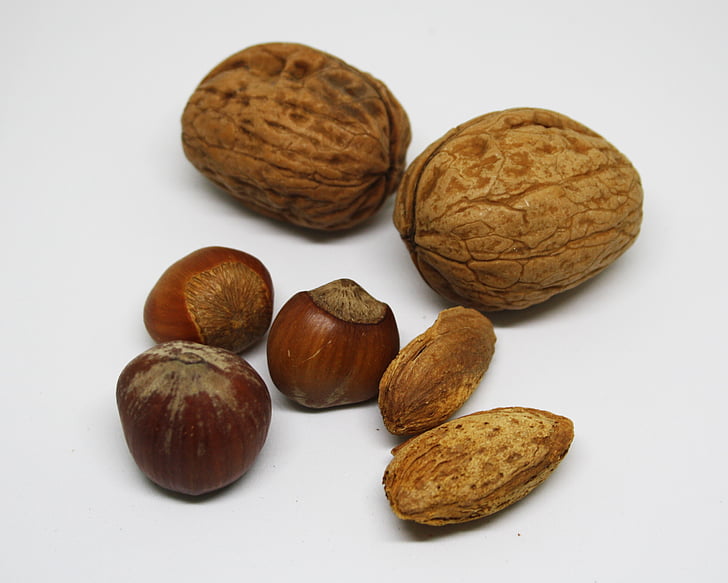 buah kering, hazelnut, kenari, almond, buah, Shell, Hazel