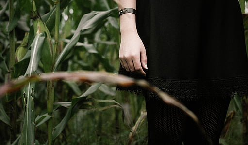 person, wearing, black, bottom, near, corn, plant