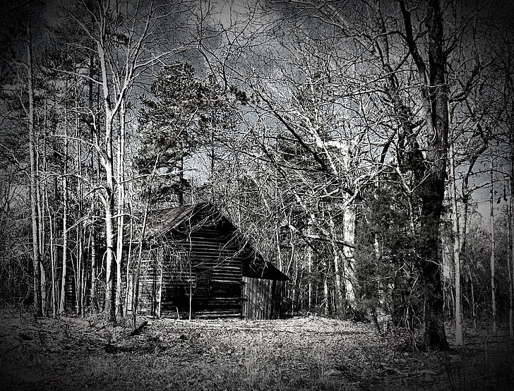 senas, svirnas, kaimiško stiliaus, juoda ir balta, metų amžiaus, miškai, medienos