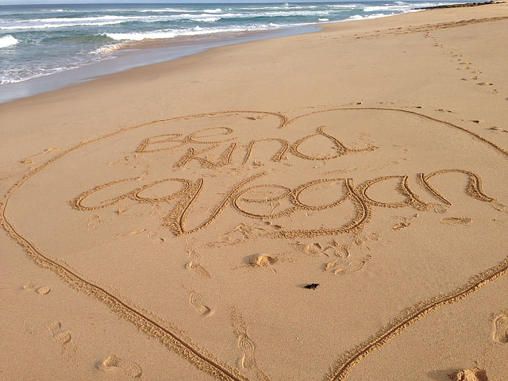 beach, sand, writing, vegan, sea, summer, vacations