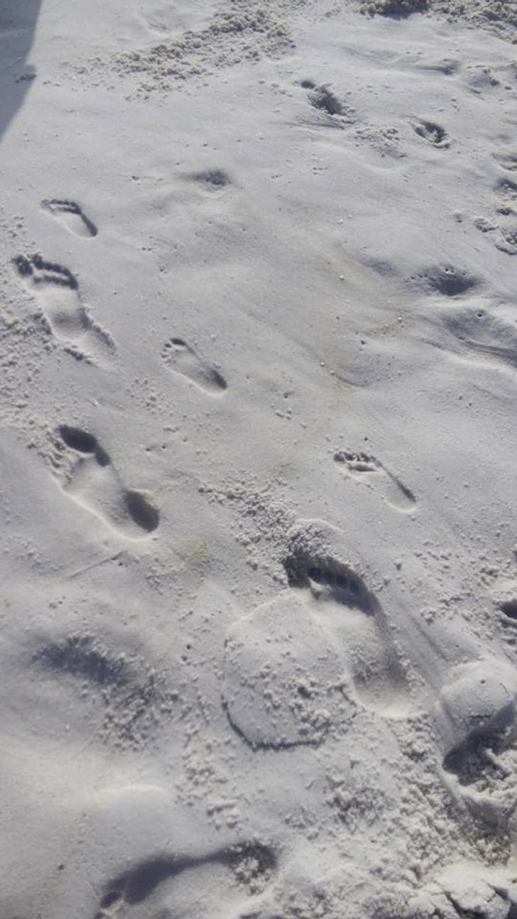 footprints, sand, beach, ocean, footstep, barefoot, sunny