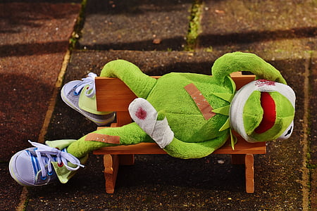 Kermit, pronto soccorso, feriti, associazione, sangue, rana, divertente