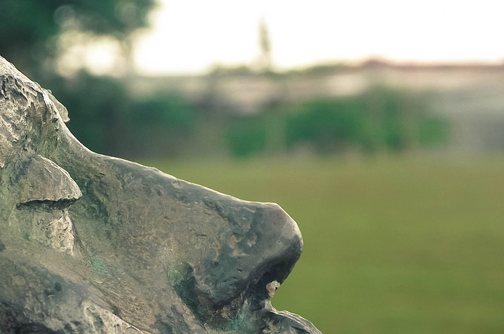 estatua de, Parque de la juventud, São paulo, Brasil, naturaleza