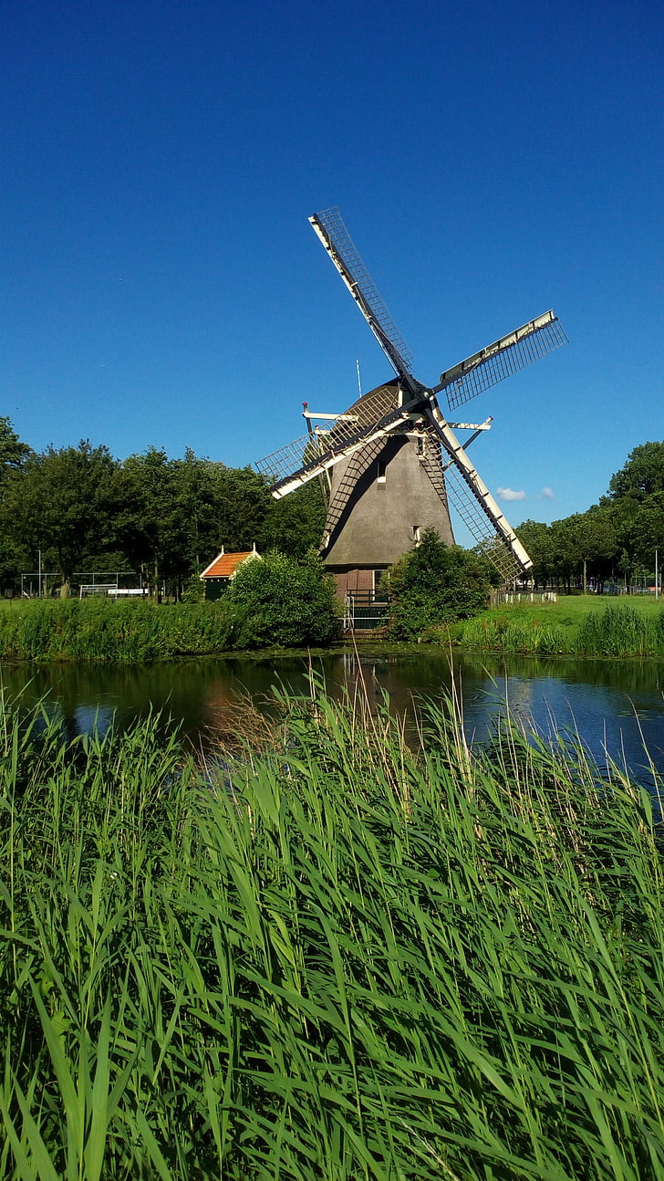 malom, Hollandia, víz, holland, fű