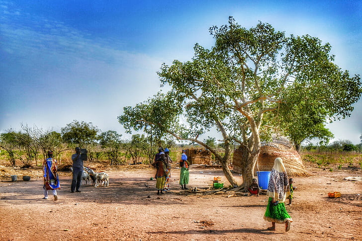 Гана, Африка, село, на живо, традиционно, дърво, човешки