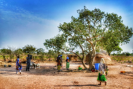 Гана, Африка, село, на живо, традиционно, дърво, човешки