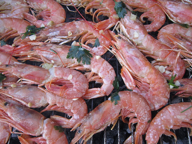 shrimp, red shrimp, grill, seafood, delicacy, mediterranean, eat