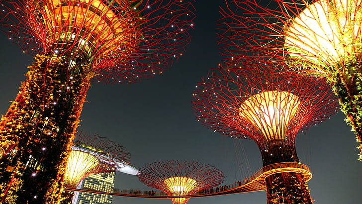 trädgård i viken, Singapore, natt, belysning, landmärke, supertree, attraktion