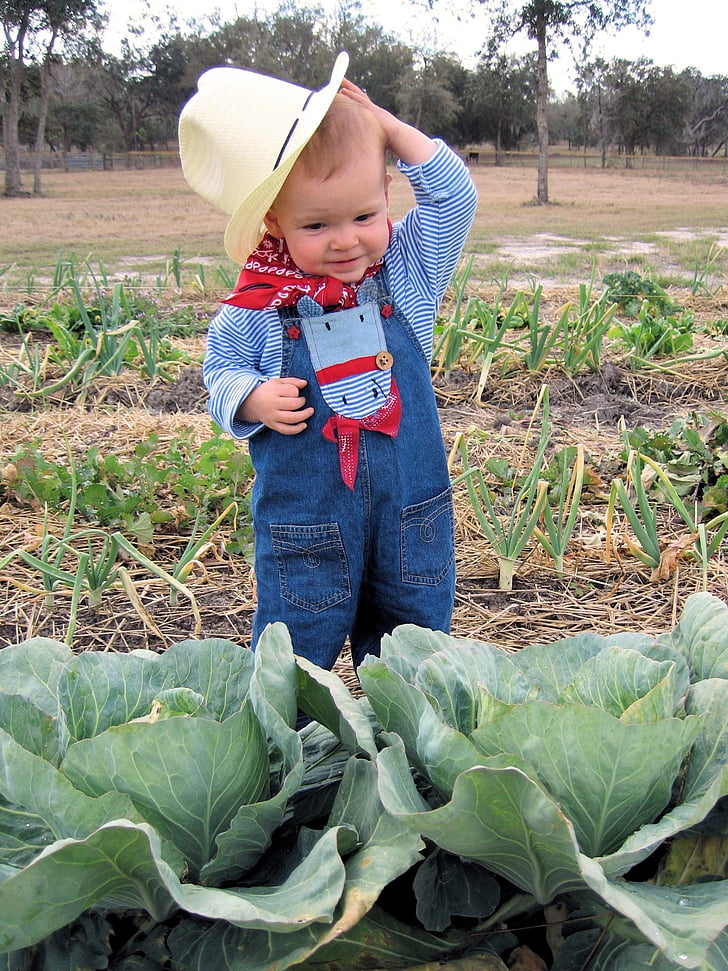 farmer, child, cabbage, childhood, cowgirl, hat, cute