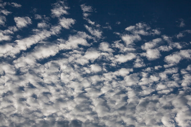 nuages moutonneux, nuages, bleu, Sky, Nuage, claire, ensoleillée