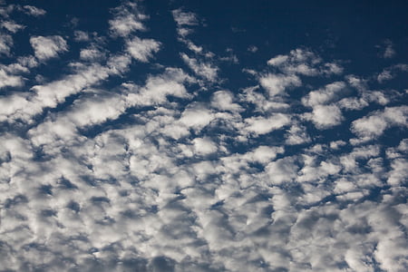 yumuşacık bulutlar, bulutlar, mavi, gökyüzü, bulut, temizleyin, güneşli