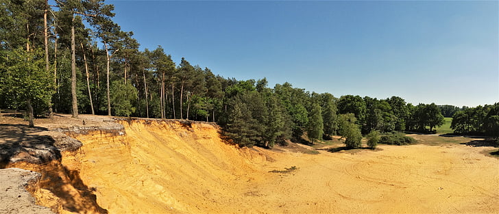 sand stone, conifers, forest, sand, hünsberg, coesfeld, information