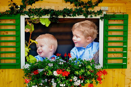 image, window, children, laugh, flower bed, child, boys