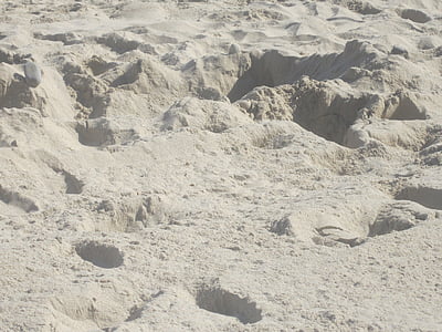 모래, 발자국, 비치
