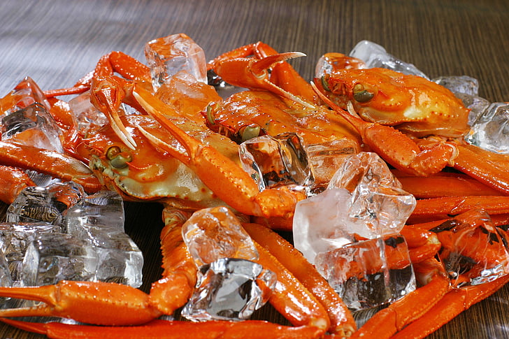 crabe des neiges, crabe, alimentaire, glace, fruits de mer, Gourmet, fraîcheur