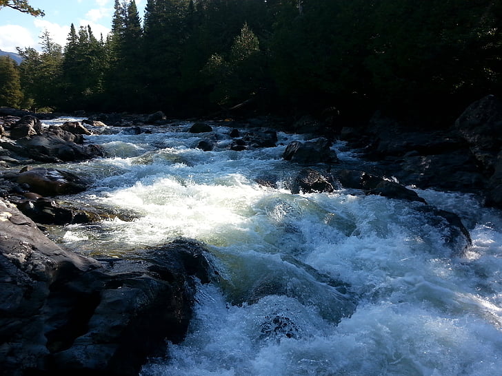 floden, naturen, Gaspesie, Kanada, Québec, faller, landskap